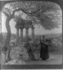 Ruinas del templo de Castore y Polluce, Girgenti, 1906
