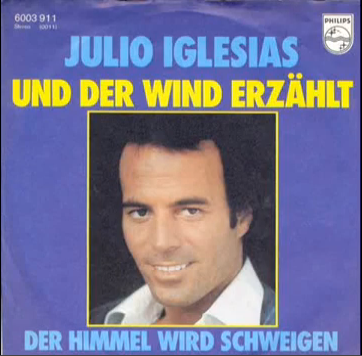 copertina Der Himmel wird Schweigen